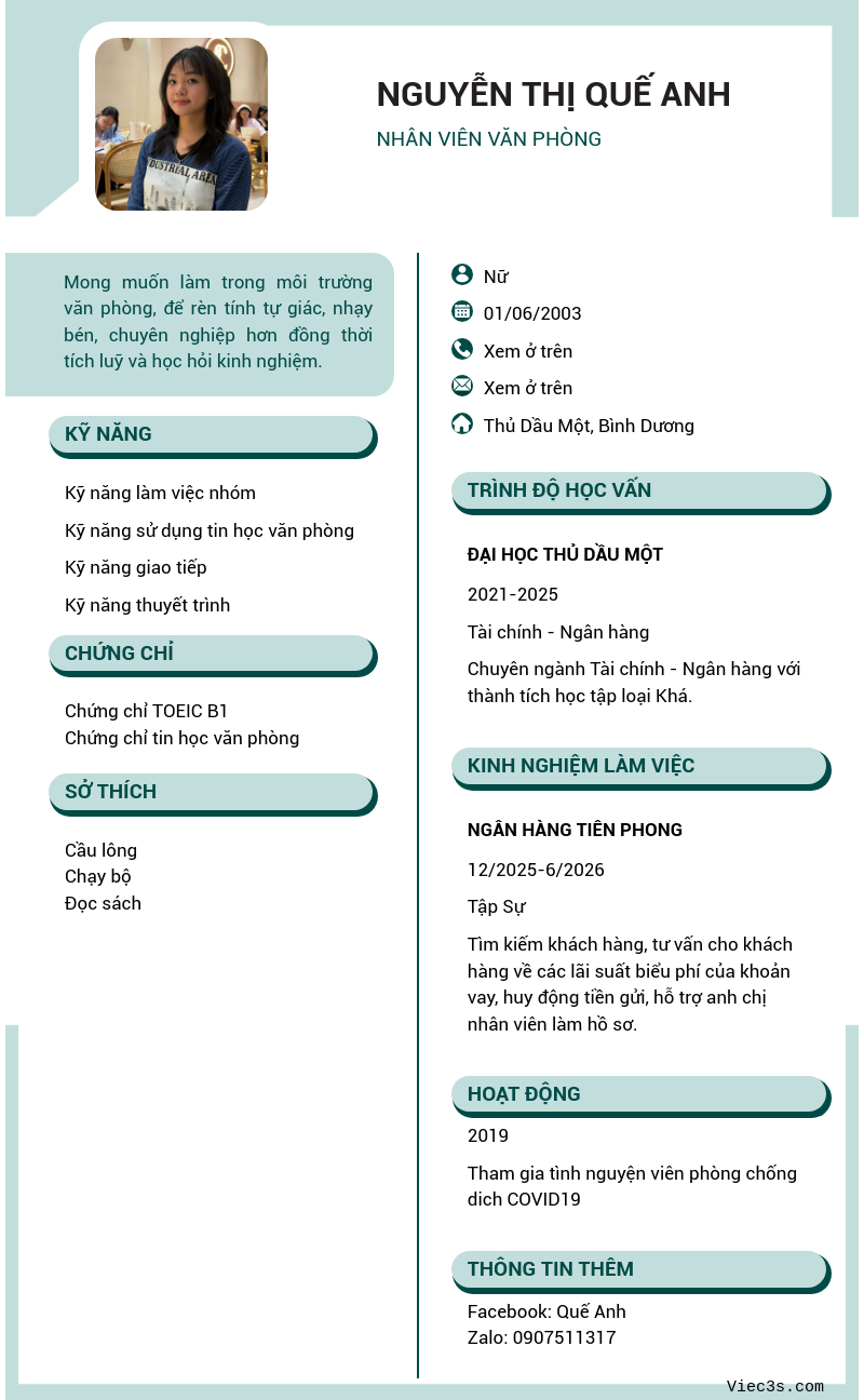 CV ứng viên