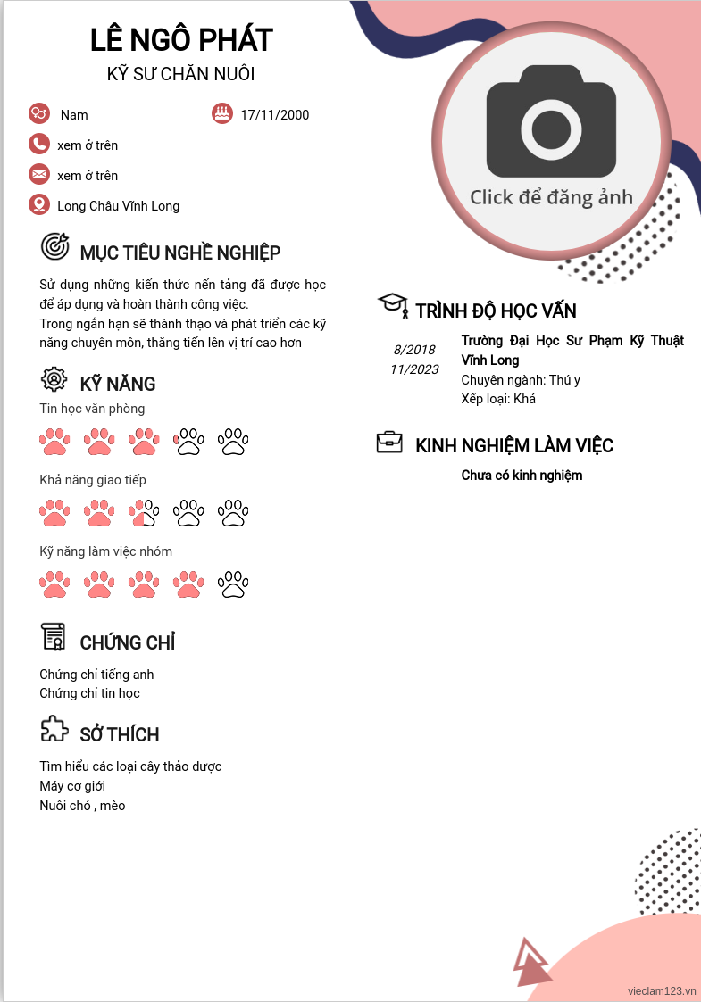 CV ứng viên