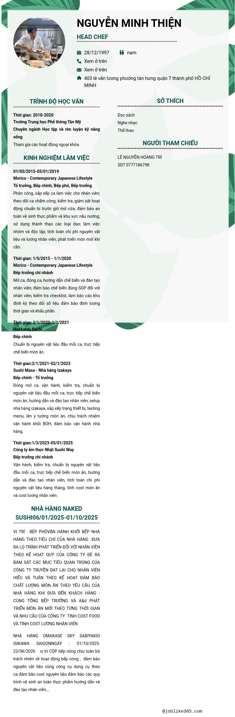 CV ứng viên