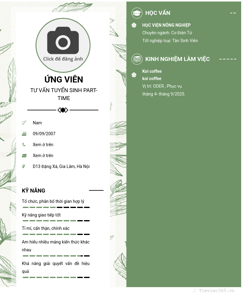CV ứng viên