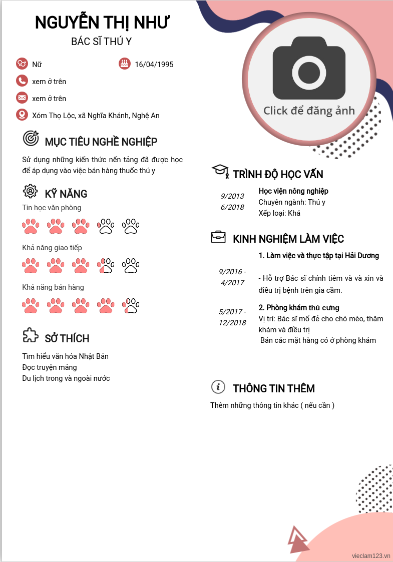 CV ứng viên