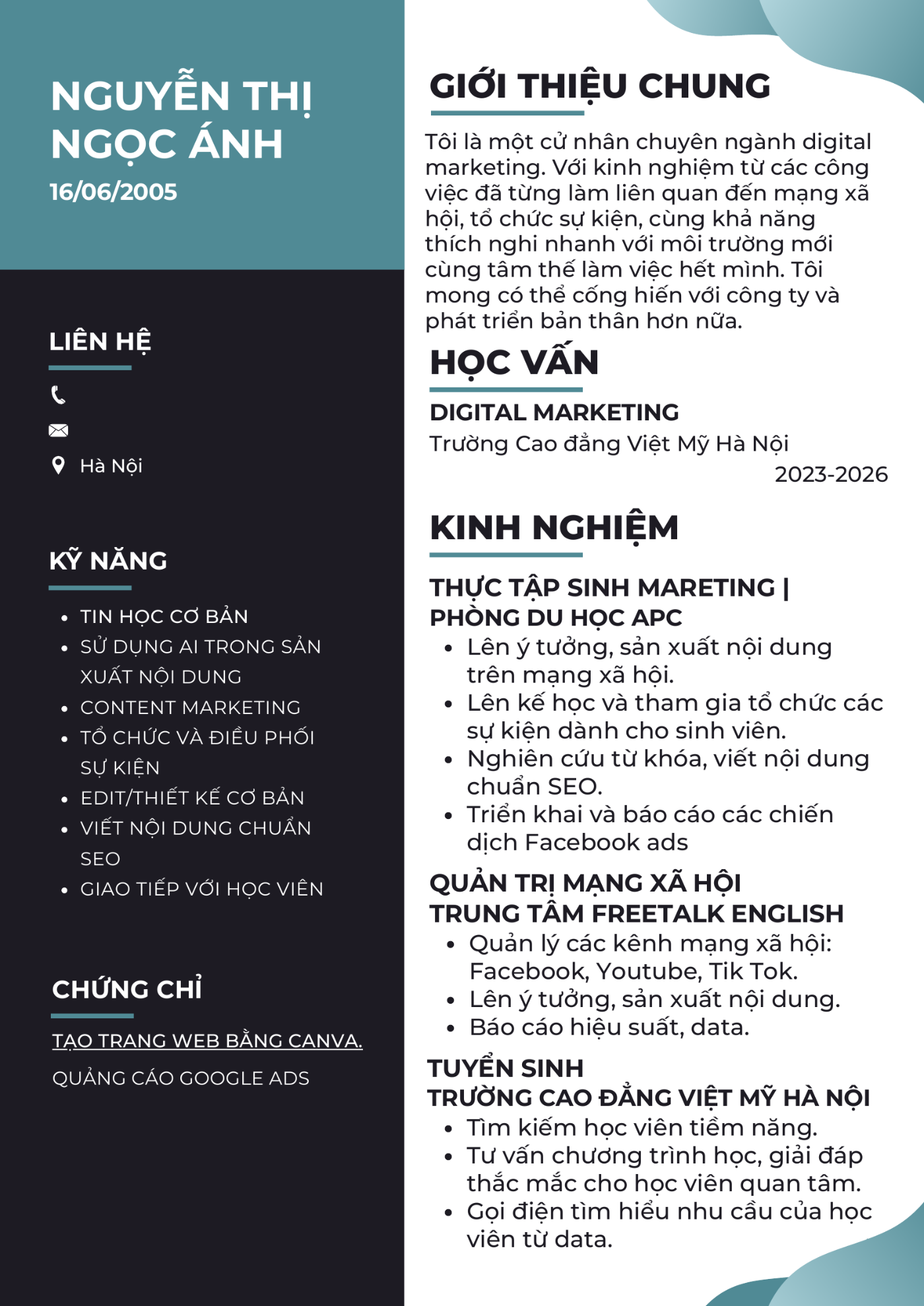 CV ứng viên