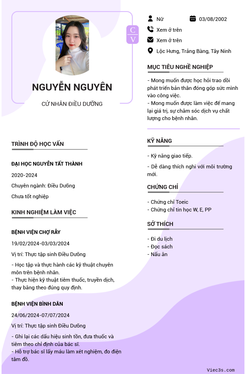 CV ứng viên