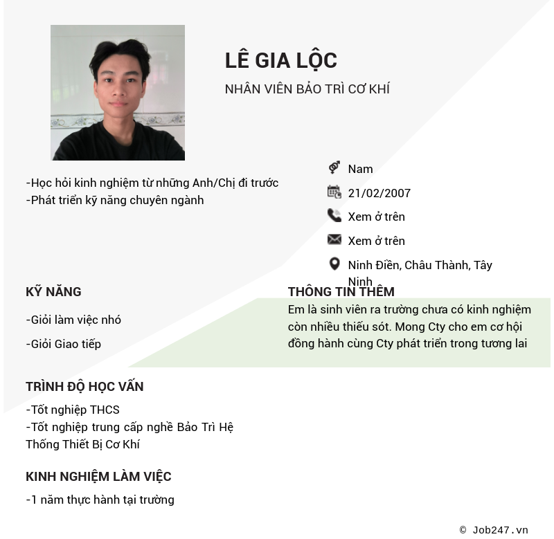 CV ứng viên