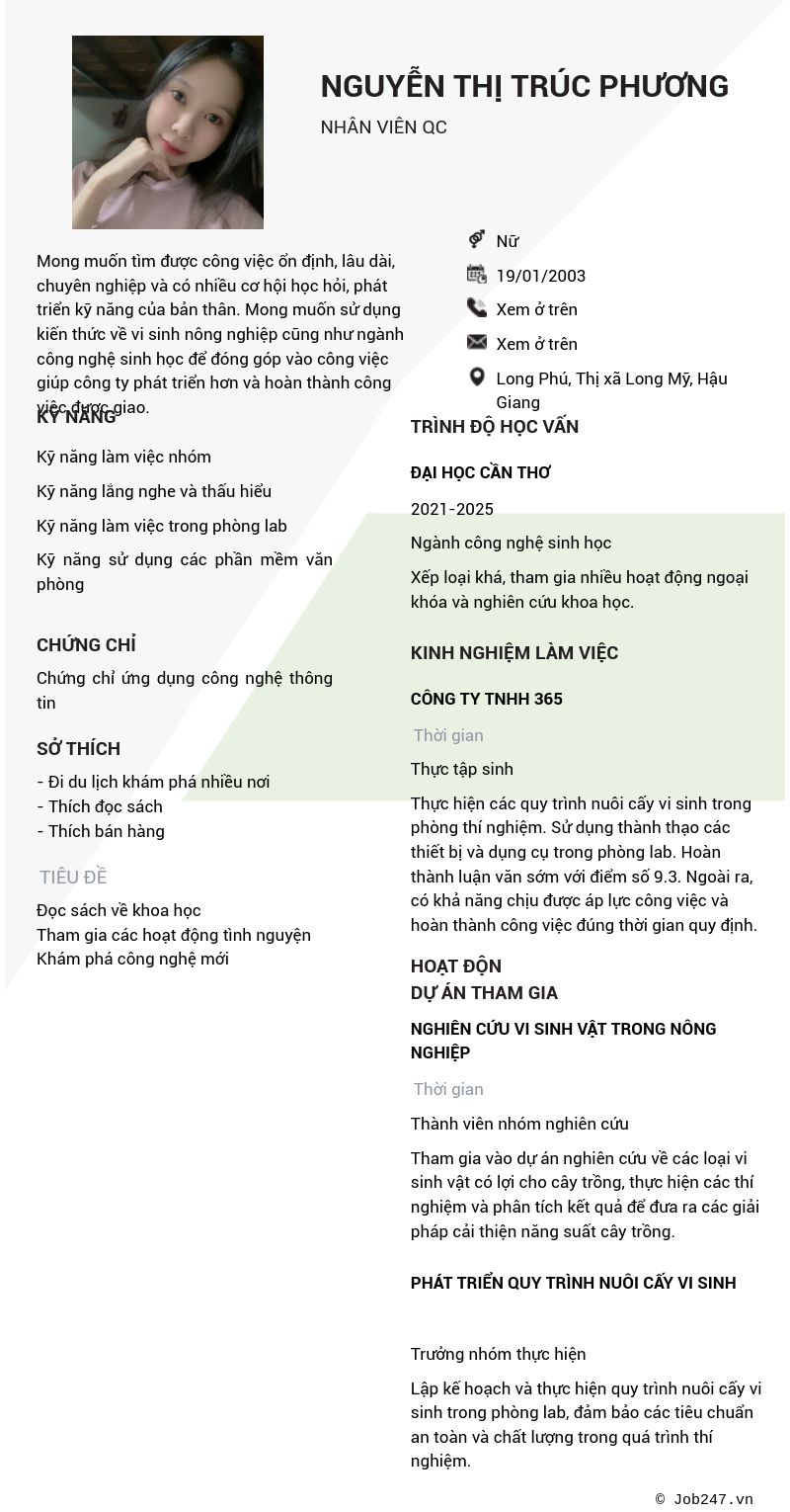 CV ứng viên