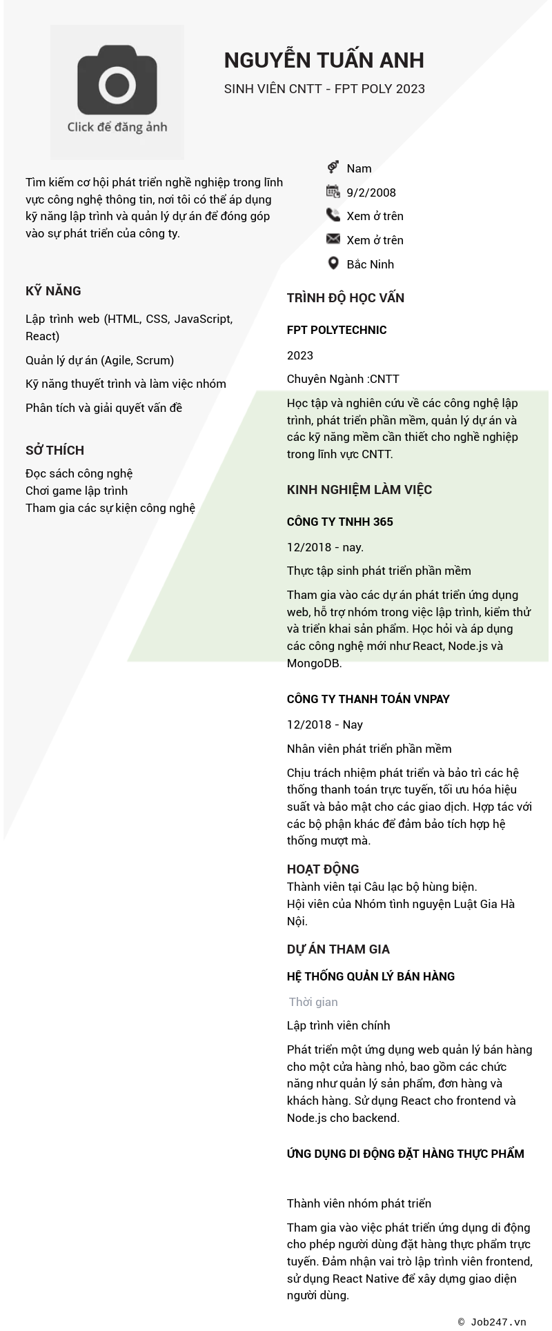 CV ứng viên