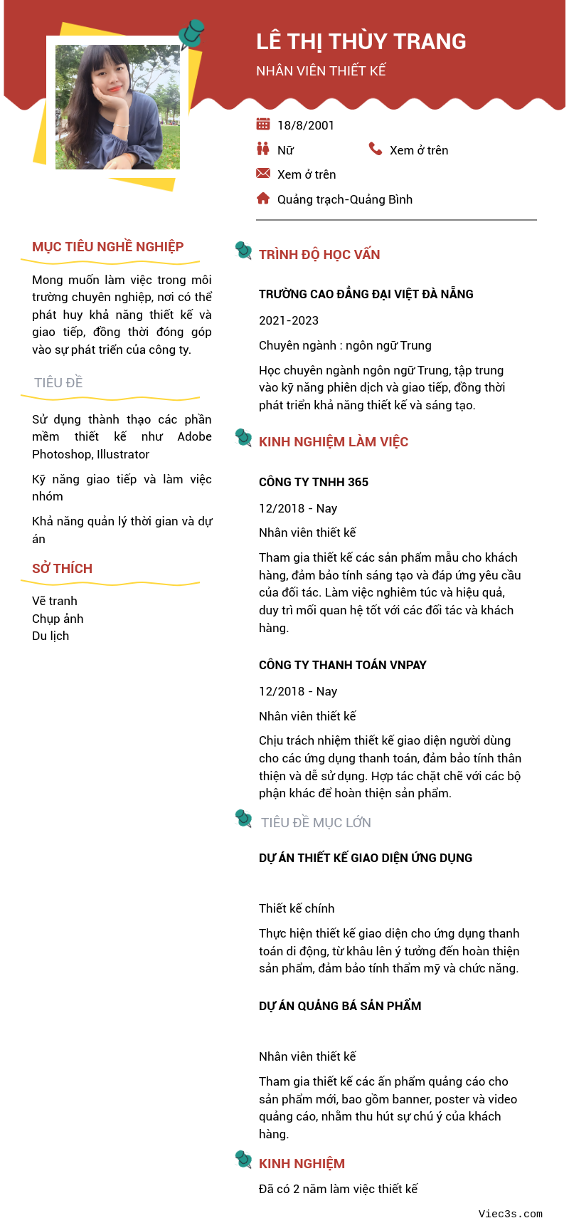 CV ứng viên