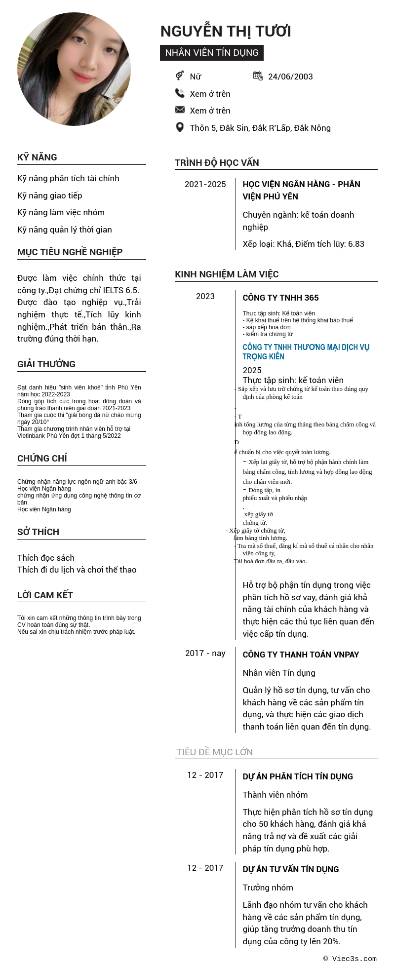 CV ứng viên