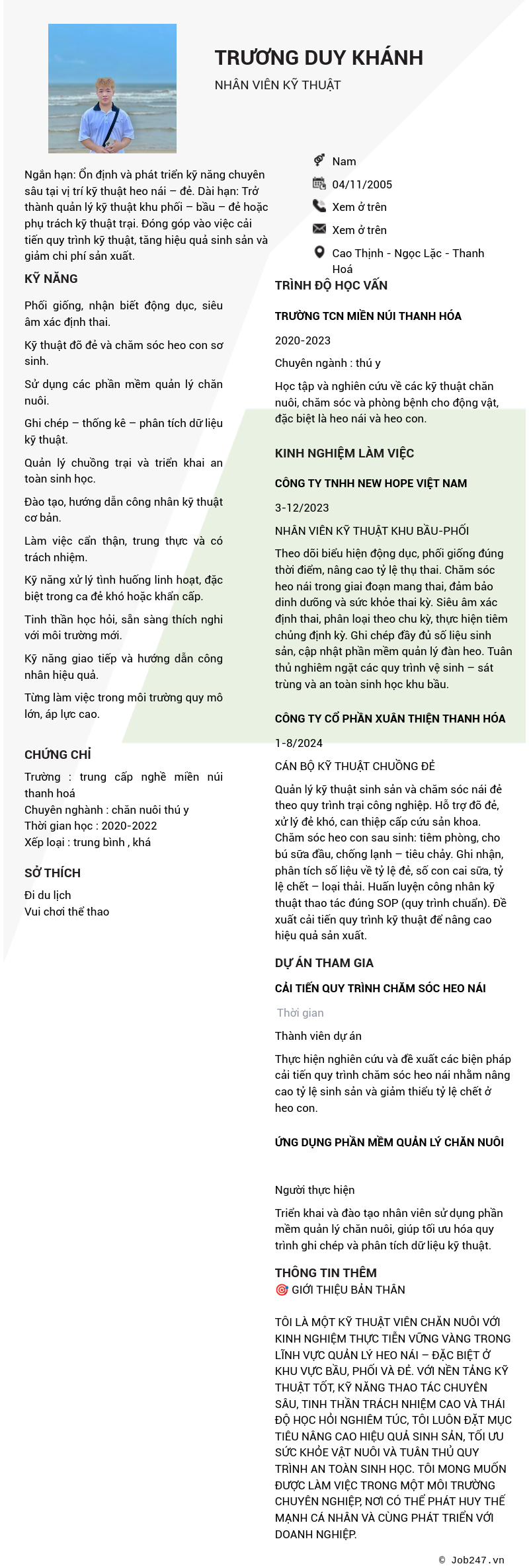 CV ứng viên