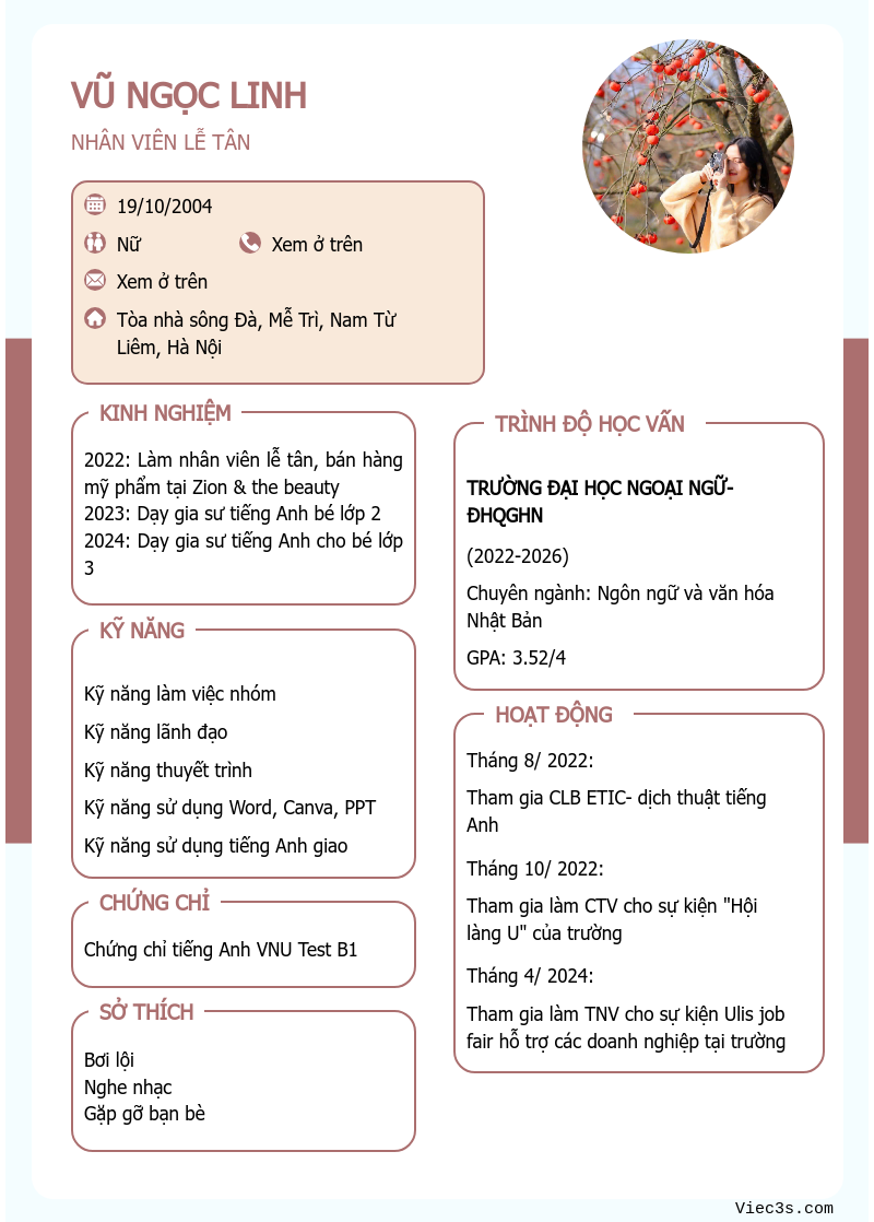 CV ứng viên
