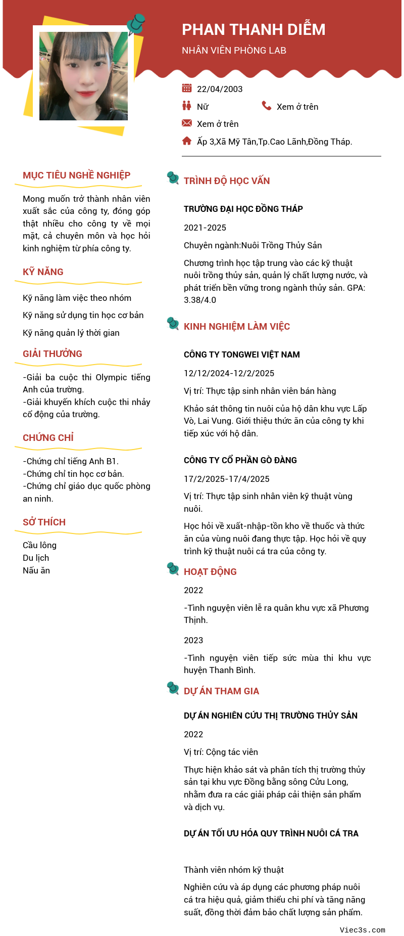 CV ứng viên