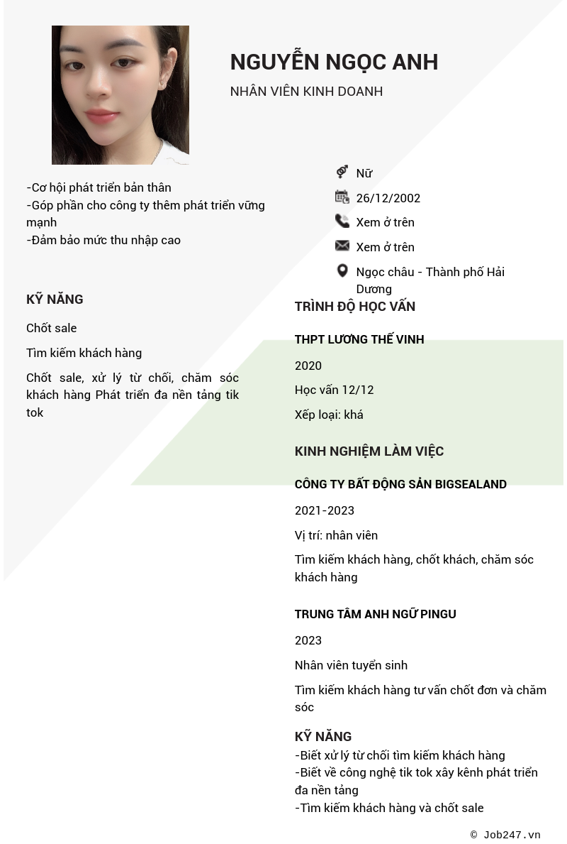CV ứng viên