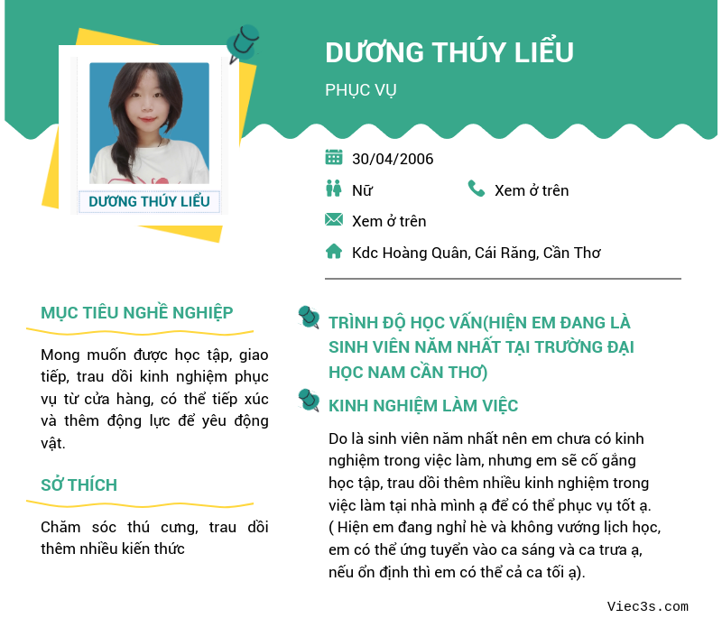 CV ứng viên
