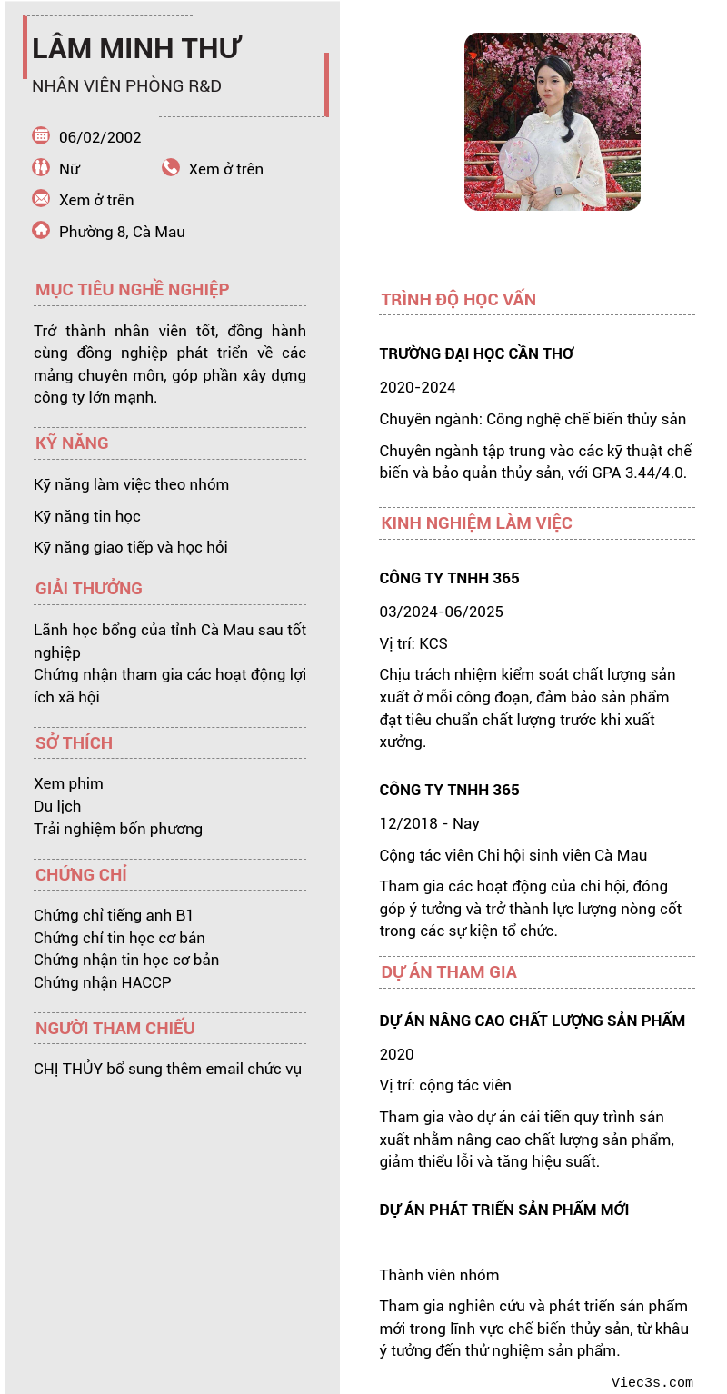 CV ứng viên