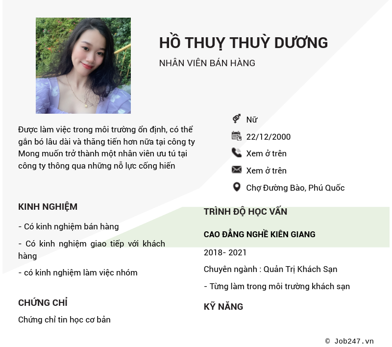 CV ứng viên