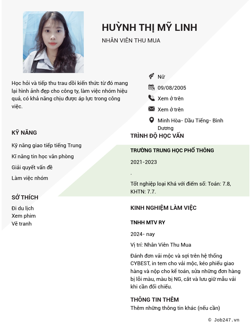 CV ứng viên