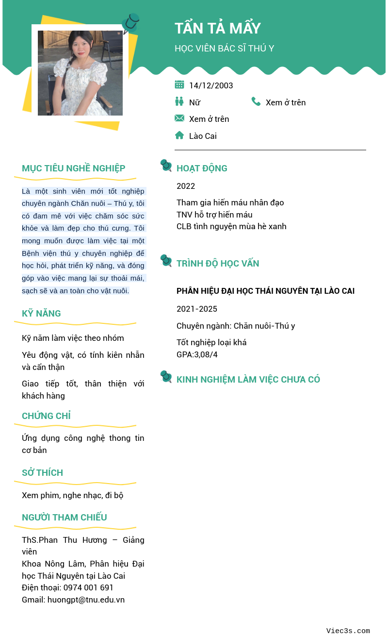 CV ứng viên