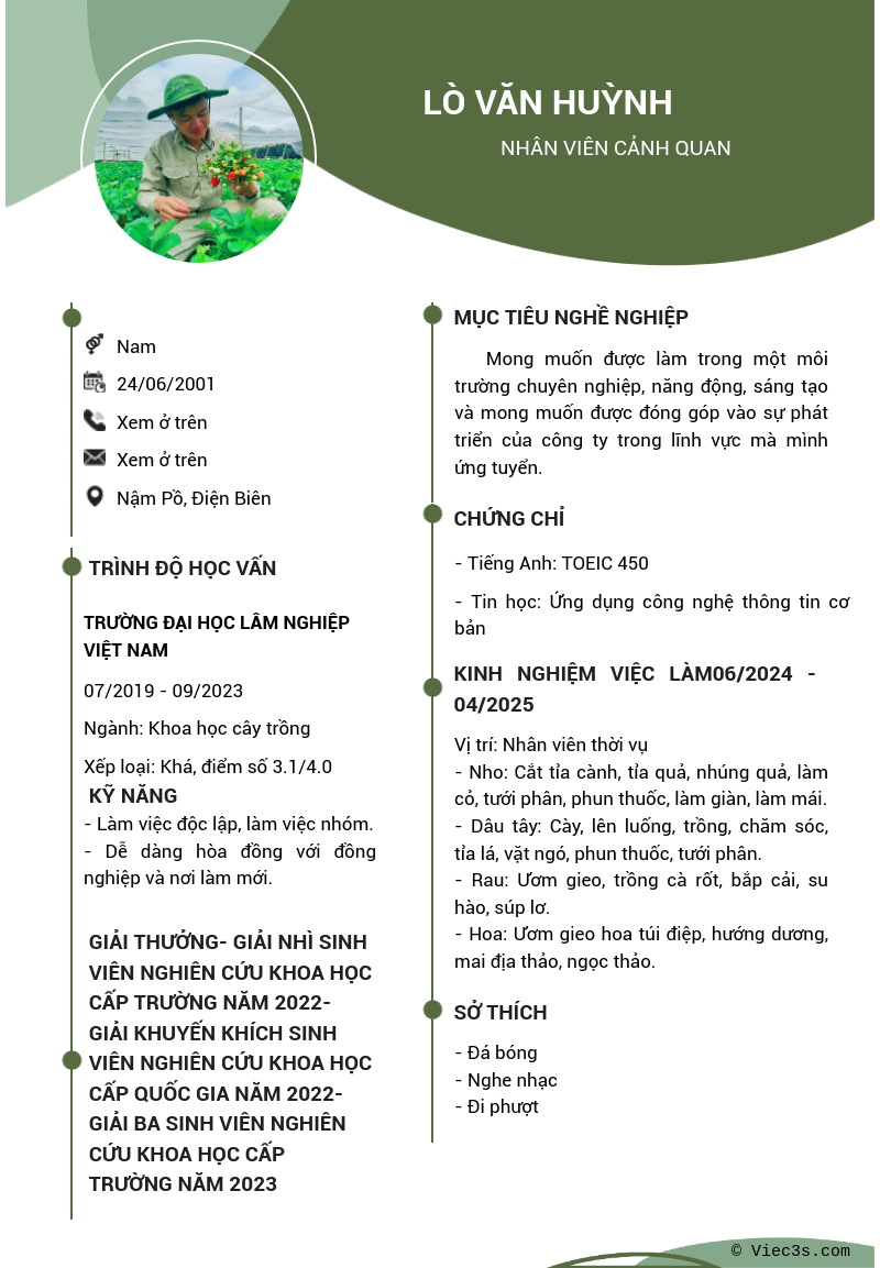 CV ứng viên