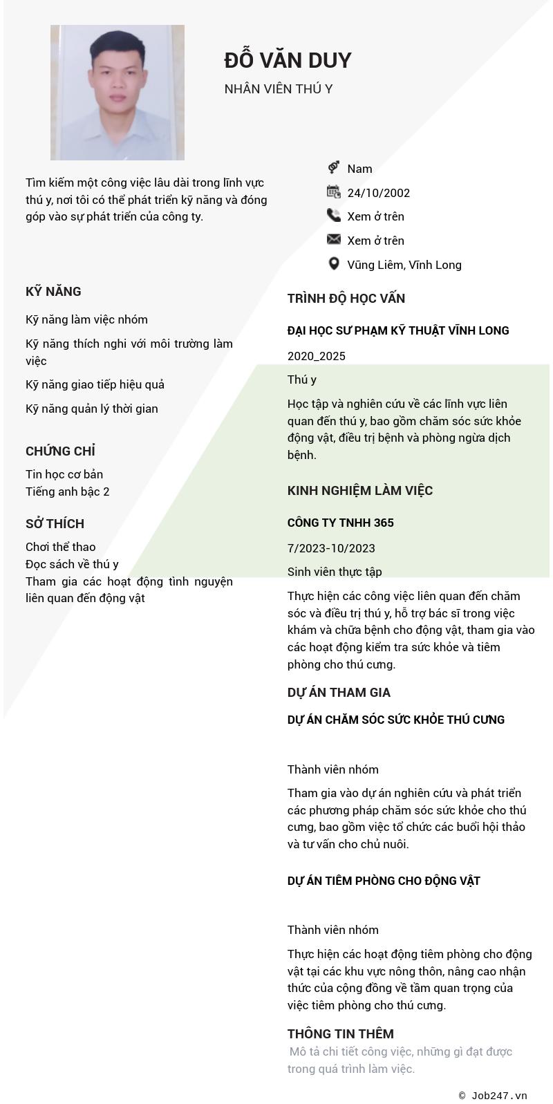 CV ứng viên