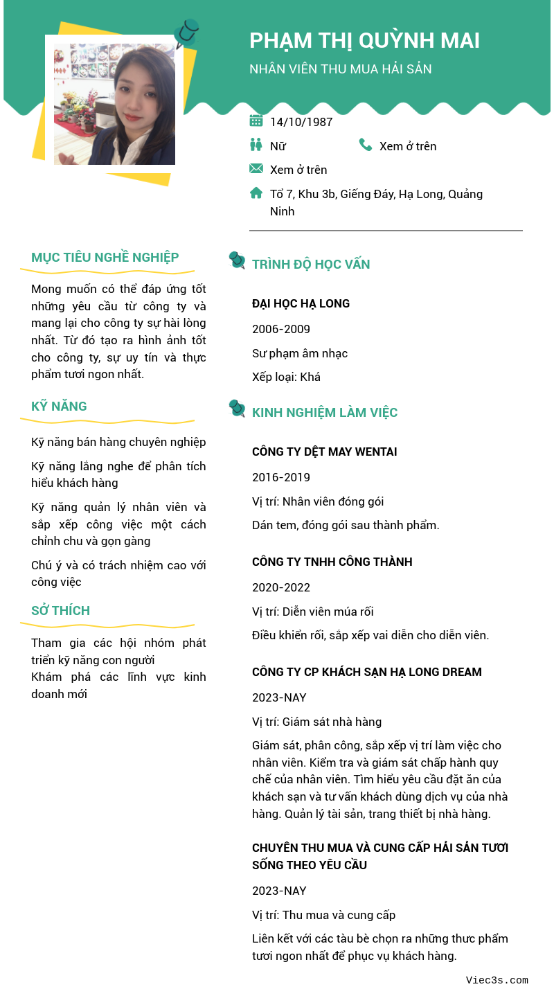 CV ứng viên