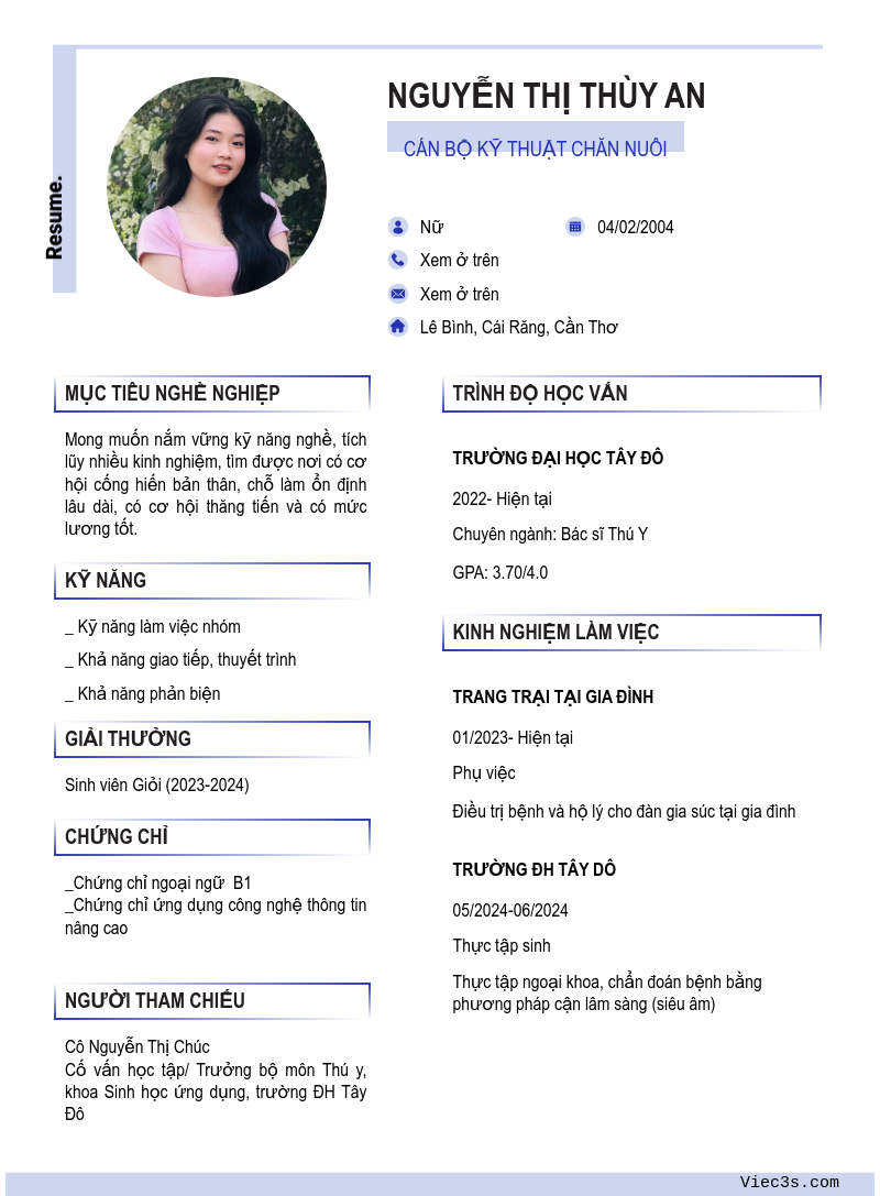 CV ứng viên