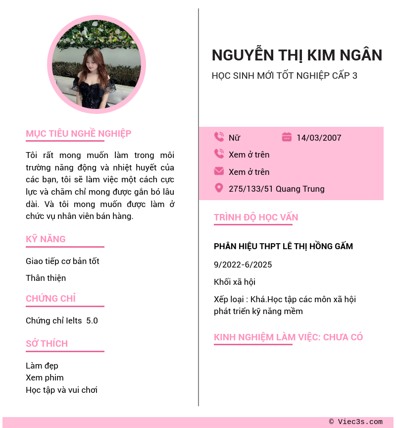 CV ứng viên