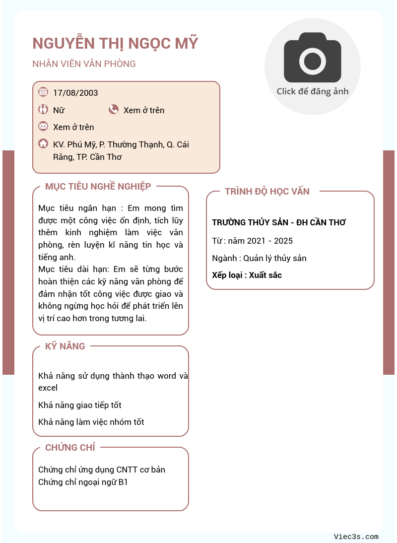 CV ứng viên