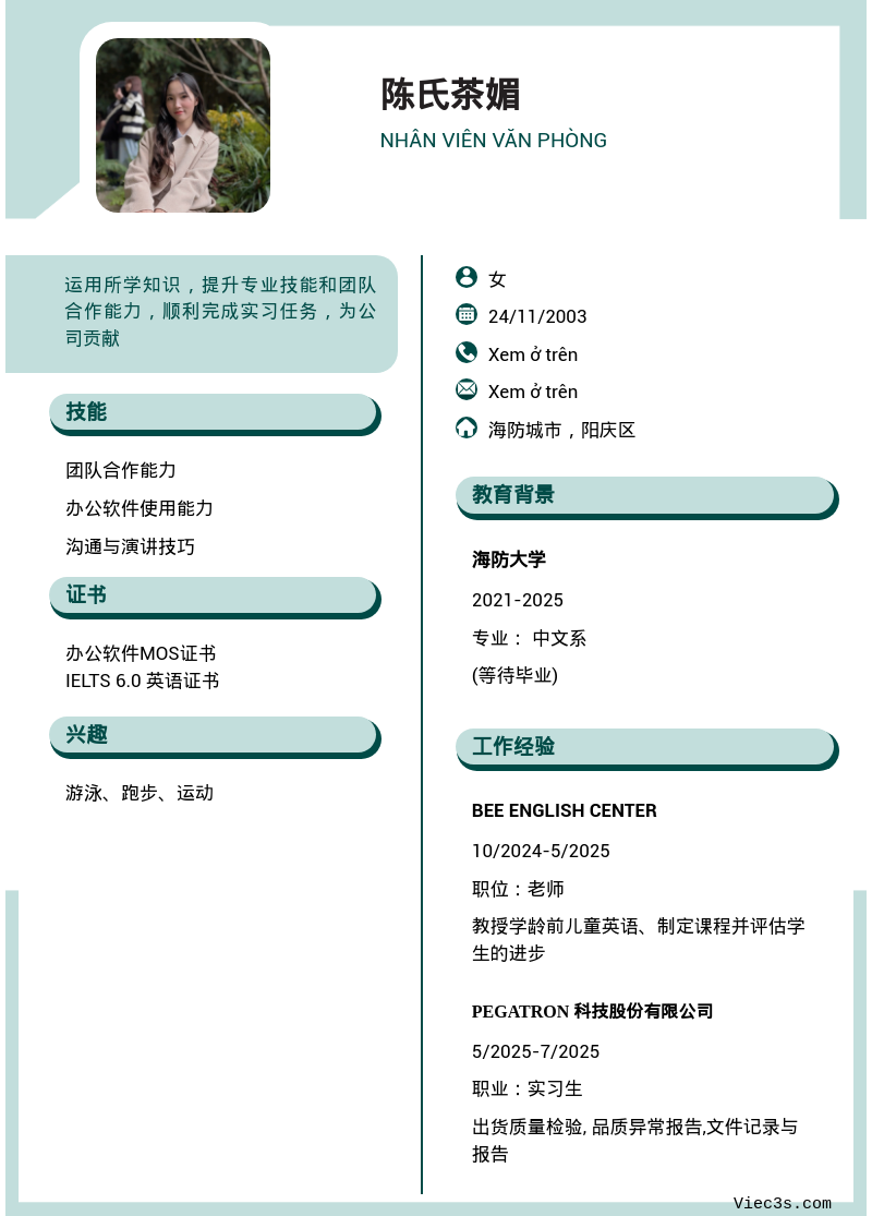 CV ứng viên