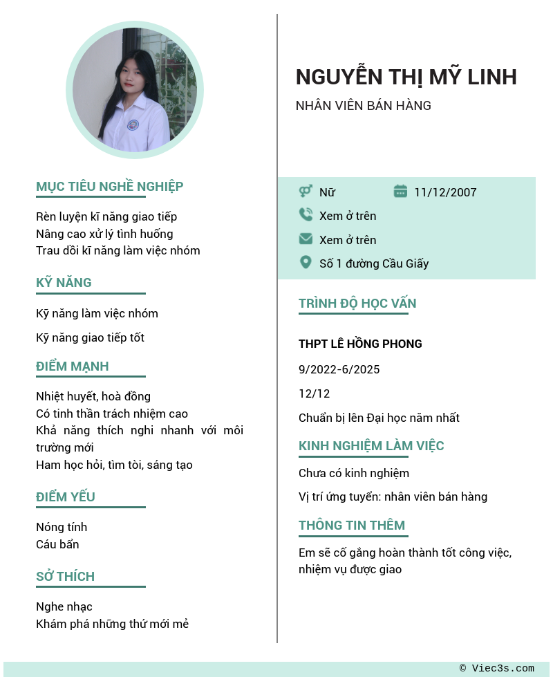 CV ứng viên