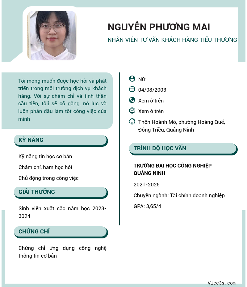 CV ứng viên