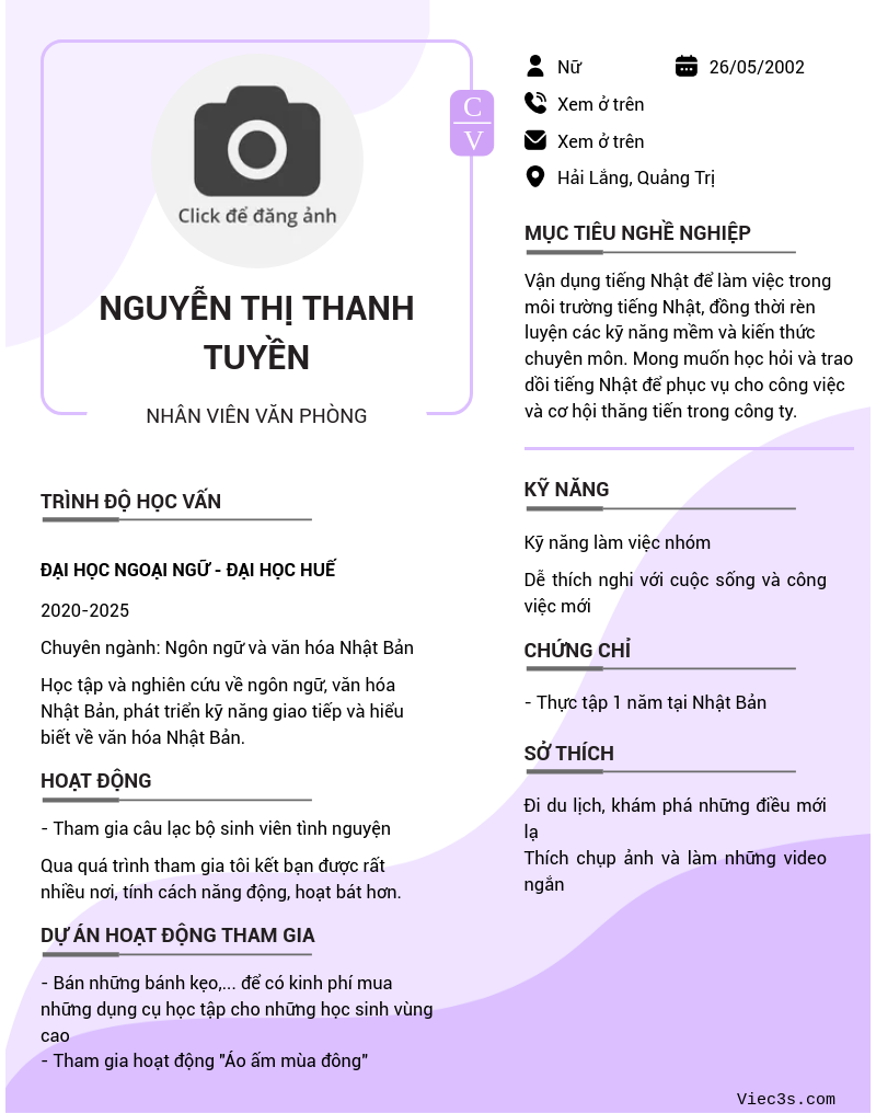 CV ứng viên