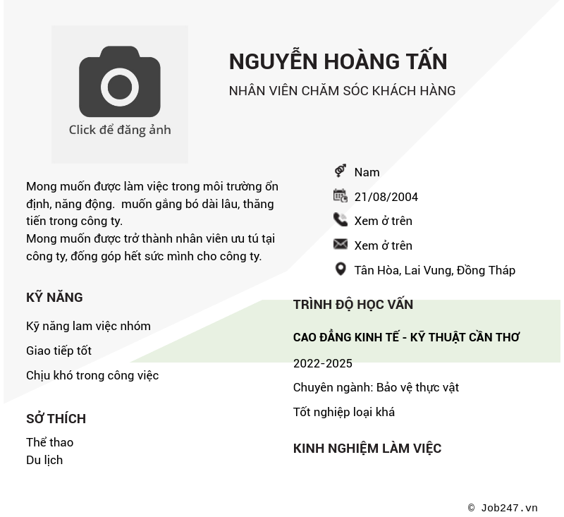 CV ứng viên