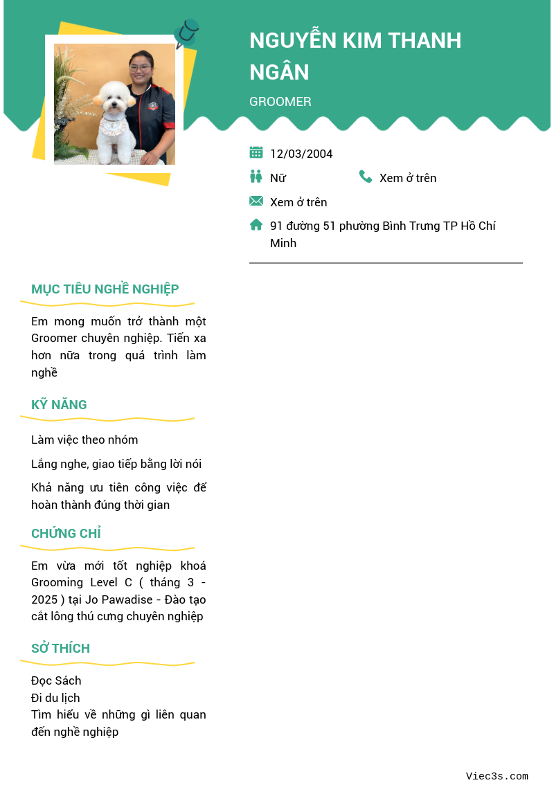CV ứng viên