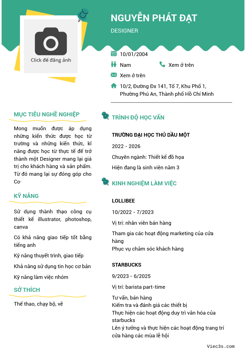 CV ứng viên