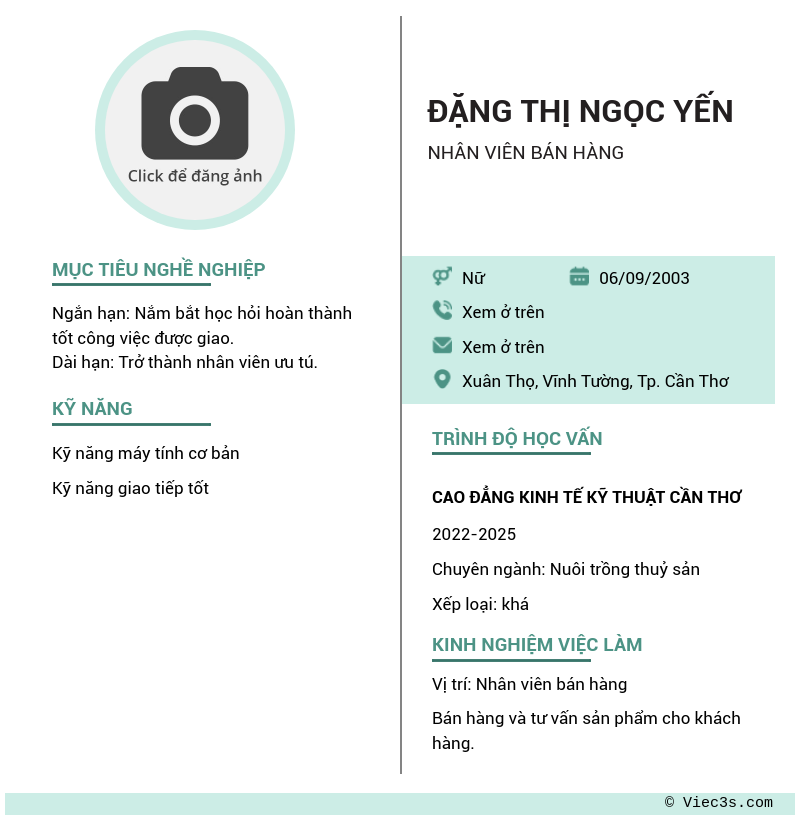 CV ứng viên