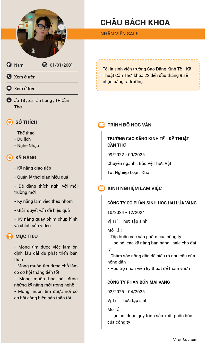CV ứng viên