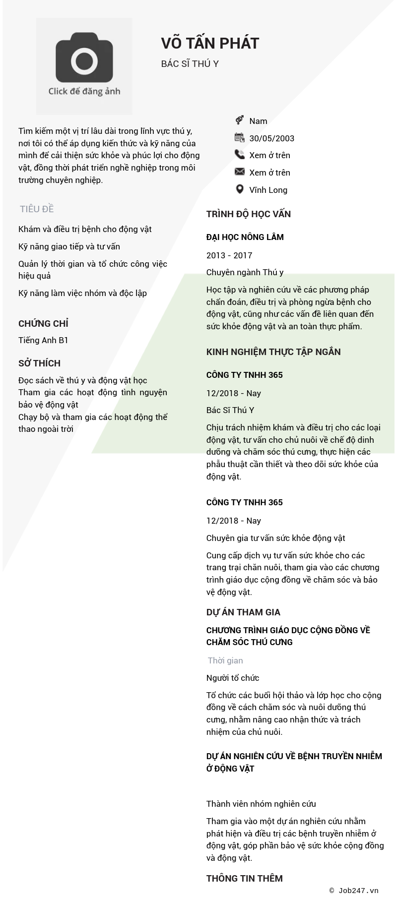CV ứng viên