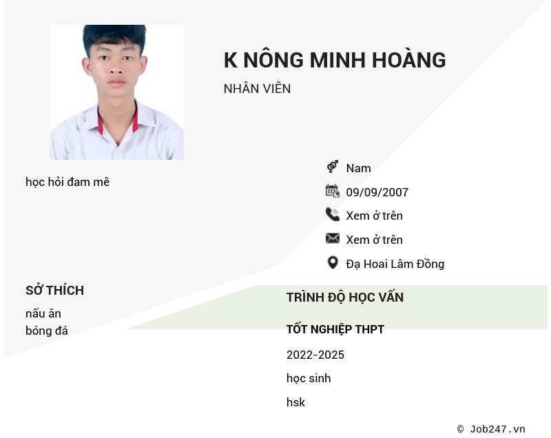 CV ứng viên