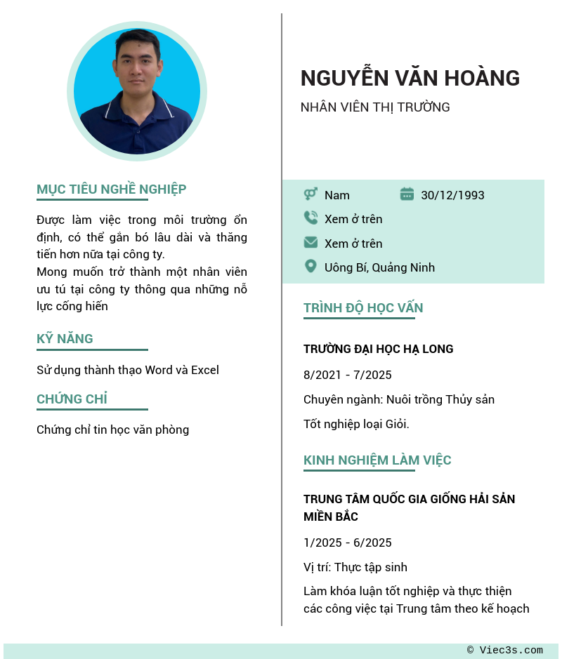 CV ứng viên