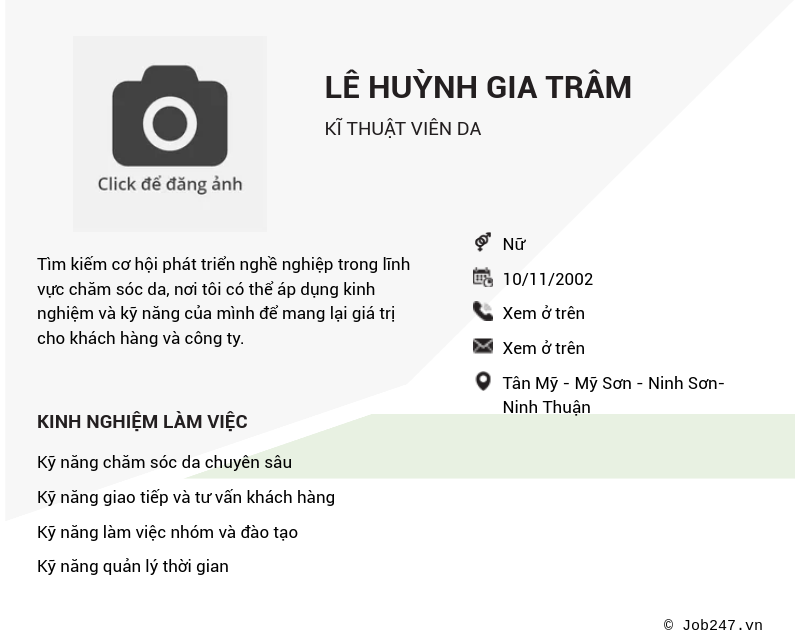 CV ứng viên