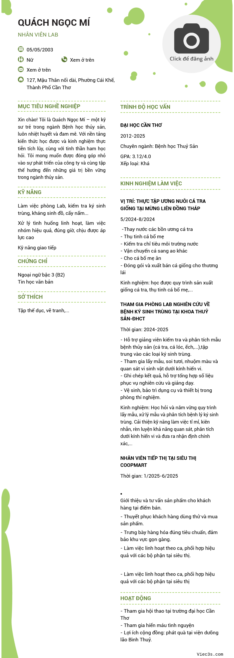 CV ứng viên