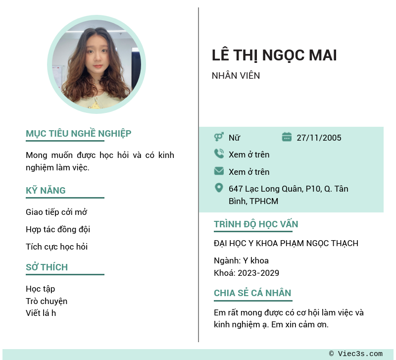 CV ứng viên