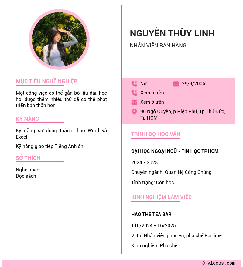 CV ứng viên