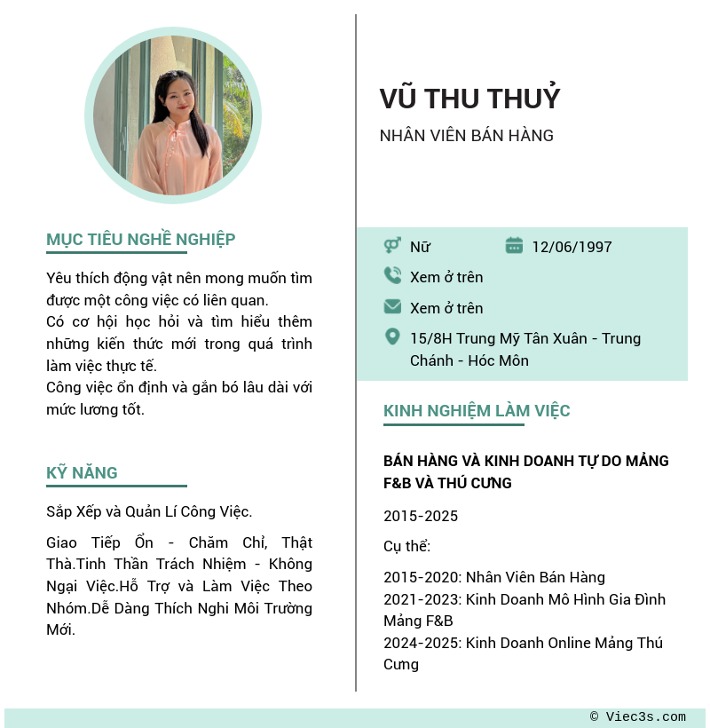 CV ứng viên