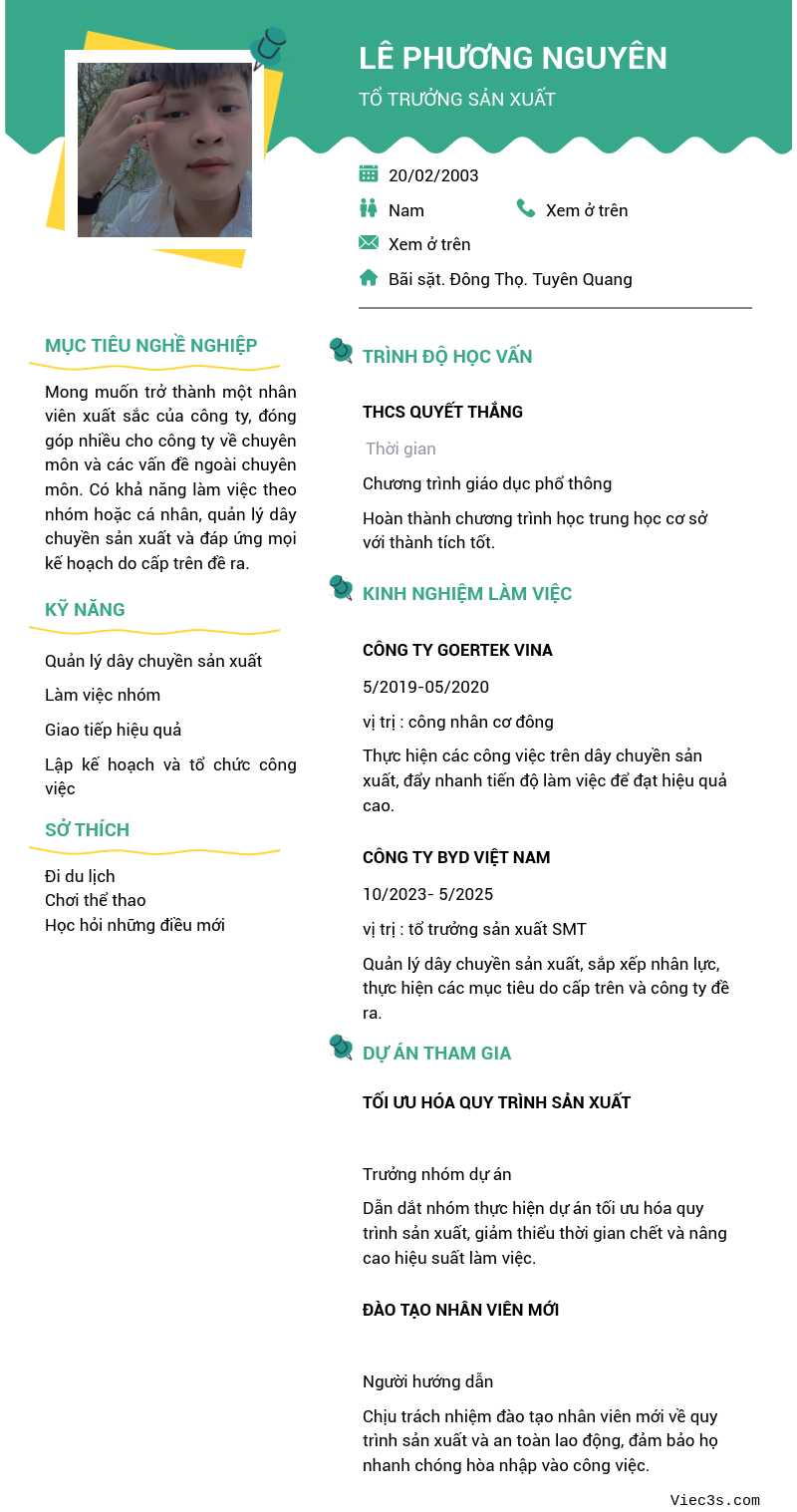 CV ứng viên