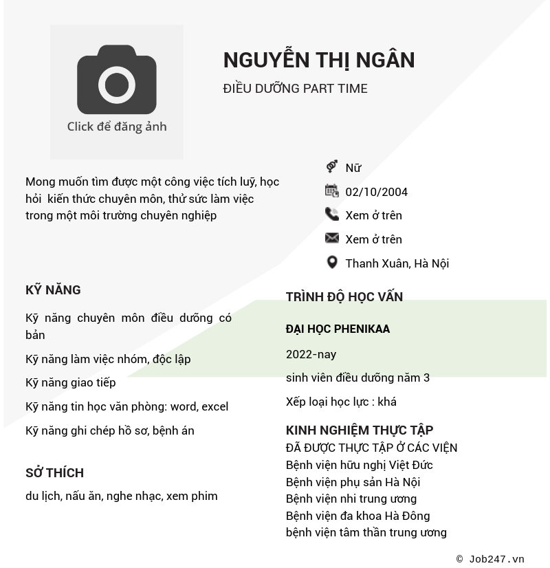 CV ứng viên