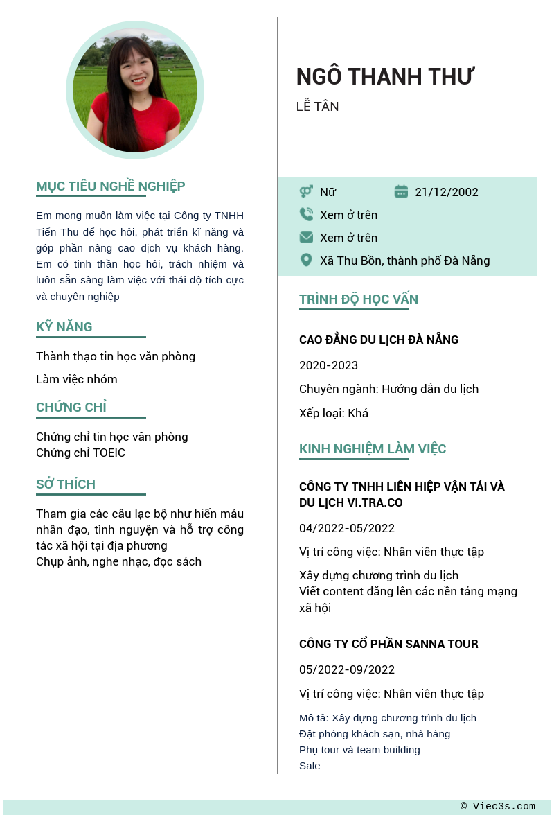 CV ứng viên