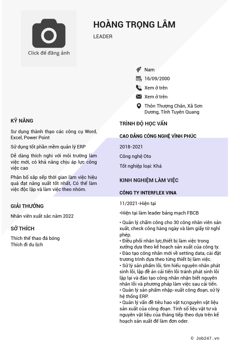 CV ứng viên