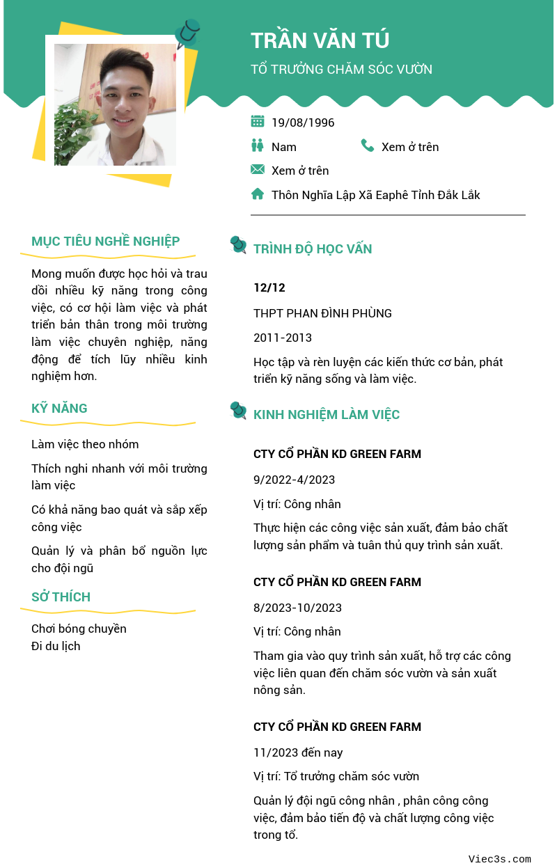 CV ứng viên