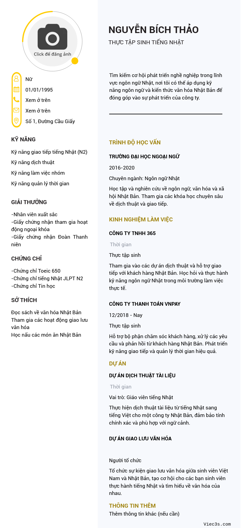 CV ứng viên